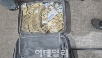 “체납관리단, 800명 뽑아라” 예산증액…부동산 감정평가예산도 ‘복구’