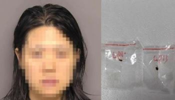 미국에 '독성 곰팡이' 반입하다 딱 걸린 中연구원…"추방 조치"