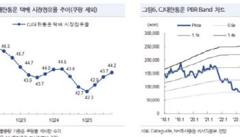 CJ대한통운, 쿠팡 반사수혜 없이도 저평가 매력 충분-NH