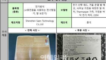 “전기방석 등 36개 해외직구 제품 안전기준 미달”