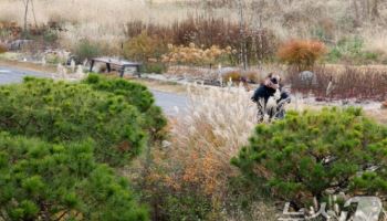 올가을 강수일수 40년 만에 최다…평균기온도 역대 2위