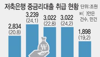 규제 부작용…저축銀 중금리대출 1년새 33% 뚝, “서민금융 예외로”