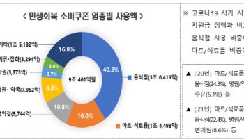 행안부 "민생회복 소비쿠폰, 경기회복 국면 전환 계기"