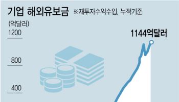 "해외 자회사 배당금 완전 비과세…달러 국내 유입 촉진해야"