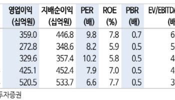 금호석유화학, 증익 기조 지속과 우수한 주주환원정책…'매수'-신한