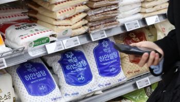 세계 식량 가격 안정세…설탕·유제품·육류 중심 가격↓