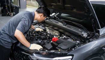 르노코리아, 겨울철 차량 무상 점검