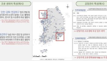 정부, '조류생태 보전·항공안전 공존 지침' 마련한다