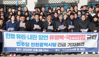 민주당 “유정복·윤상현 내란 옹호성 발언, 손범규 피소 규탄”