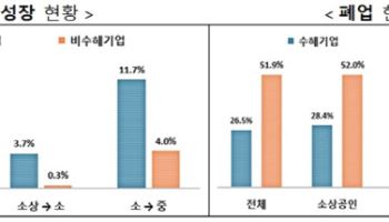 "중기 정책, 생계 보호 보다 성장 촉진에 중점둬야"
