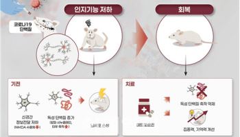 코로나19 이후 기억이 가물가물…이유 있었다