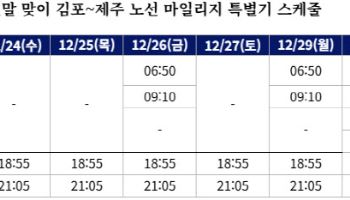 대한항공, 성탄절 연휴 김포~제주 마일리지 전용기 띄워