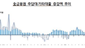 농협, 한달새 대출 8배 급증…1금융권 옥죄니, 차주들 몰려갔다