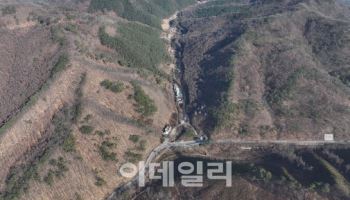 낙동정맥의 중심서 ‘치산녹화’의 기적과 숲의 상생 배운다