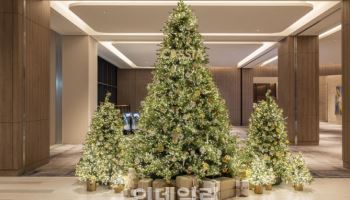 “동해서 즐기는 크리스마스”…카시아 속초, 연말 패키지 선보여