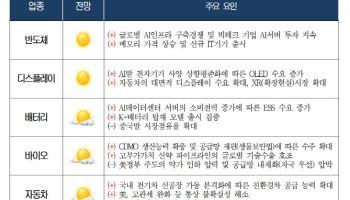 내년 반도체·디스플레이 볕든다…'中 공세' 철강·석화는 '흐림'