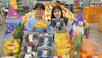 "고환율 뚫는다"…롯데마트, 수입 과일 파격 할인전