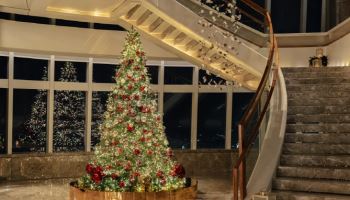 시그니엘 서울, 크리스마스 맞아 ‘페스티브 치어’ 패키지 출시