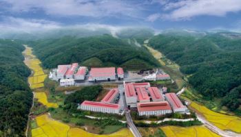 대창솔루션, 조선·원전·해양플랜트 수주 확대…"2026년 매출 성장 가시화"