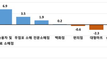 올해 소비심리 소폭 회복…車 많이 사고 면세점 안 갔다