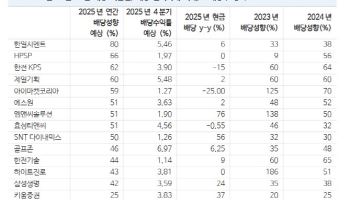 배당소득 분리과세 혜택 노리려면..연말에 살 종목은?