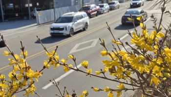 평년 웃도는 기온…수도권 추적추적 ‘겨울비’