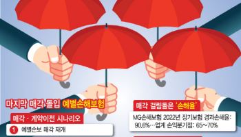 마지막 매각 예별손보, 커지는 5대 손보 계약이전 가능성