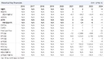 루미르, 내년 실적 개선·자체위성 발사 기대-NH