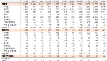 롯데쇼핑, 올 4분기 기점 실적 모멘텀 강화 전망-흥국