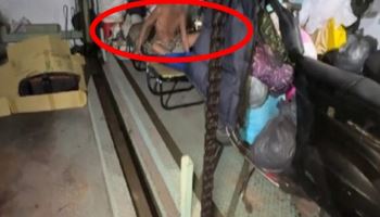 "영화 '기생충'보다 지독"…아파트 지하에 3년 숨어 산 70대