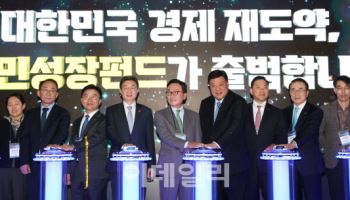 국민성장펀드, 내년 ‘30조＋α’…국민참여형 ‘당근책’은 검토 중