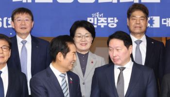 민주당 만난 최태원 "지역경제, 특구·전력 등 종합 검토해야"