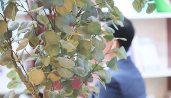 "돈 없어 아이 태권도 승급 시험 포기"…양육비선지급에 숨통 튼 싱글파파