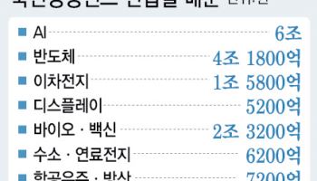 ‘투자요구 봇물’ 성장펀드, ‘30조＋α’로 첫발…글로벌 K-붐업 뒷받침