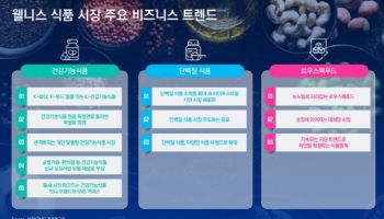 삼정KPMG "웰니스 식품, 차세대 성장동력으로 부상"