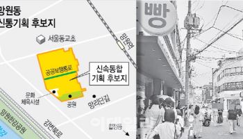 신길동 일대 등 신통기획 후보지 8곳 선정…망원동도 재개발 속도