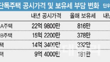 성수동 23억 단독주택, 내년 보유세 100만원 오른다
