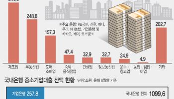 은행권 부동산업 대출 23% 쏠림…“생산적금융 갈길 머네”