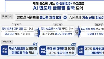 정부, ‘K-엔비디아’ 키운다…NPU 중심 AI반도체 육성 착수