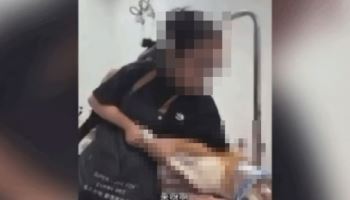 "일본 개는 맞아야" 목조르고 폭행하는 애견 미용사 '발칵'