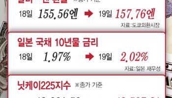 日 30년만의 최고 금리인상…엔케리 청산 경계는 ‘여전’