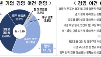 내수 부진에 환율 리스크까지…기업 절반 "내년 경영 어렵다"