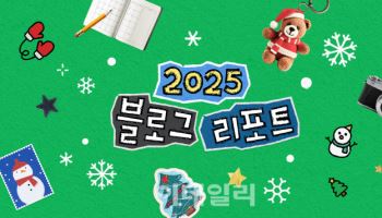 네이버에 올해 쌓인 블로그 기록 3.3억건