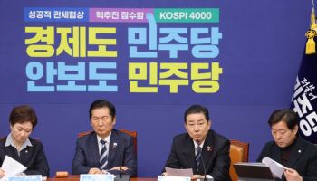 김병기 “韓기업 대미 투자 총력전…국회도 책임있게 움직여야”