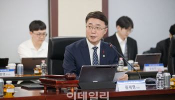 지자체 CCTV 원본 데이터 AI 학습 활용된다…규제샌드박스 지정