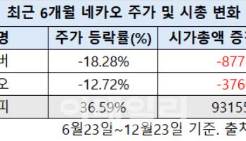 실적은 최대, 주가는 부진?…네카오, 투심 '갈림길'