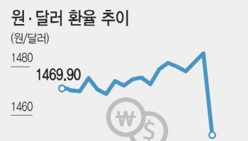 환율, 연말까지는 정부 '약발'…연초까지 이어질까