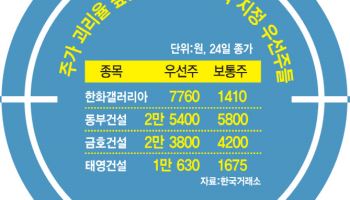보통주보다 6배 비싼 우선주들…투기 세력 타깃됐나