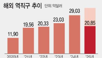 ‘해외 역직구’ 정부지원 신설…수출날개 단 K이커머스