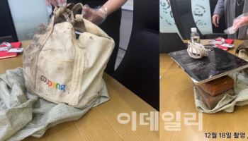 쿠팡 "정부 지시로 유출자 만났다"…'셀프 조사' 반박